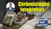 Çürümüşlüğün fotoğrafları...