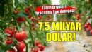 EİB’in tarım ürünleri ihracatı 7,5 milyar doları aştı