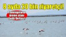 Gediz Deltası'na 8 ayda 20 bin ziyaretçi!