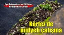 İzmir Körfezi'ndeki kirliliğin çözümü için midyelerle bilimsel çalışma yapıldı