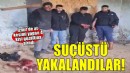 İzmir'de at kesimine suçüstü