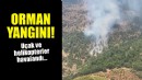 İzmir'de orman yangını!