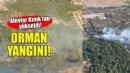 İzmir'de orman yangını!