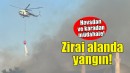 İzmir'de zirai alanda yangın!