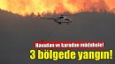 İzmir'in 3 ilçesinde orman yangını!