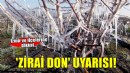 İzmir ve ilçeleri için 'zirai don' uyarısı