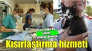 Kısırlaştırma hizmetlerinde online randevu dönemi