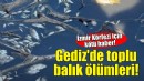 Körfez'e ulaşan Gediz Nehri'nde balık ölümleri!