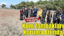 Kum Zambakları Koruma Altında