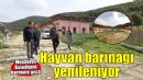 Menderes'te atıl haldeki hayvan barınağı yenileniyor