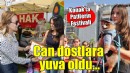 Patilerin Festivali can dostlara yuva oldu...