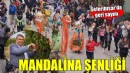 Seferihisar'da 'Mandalina Şenliği' heyecanı...