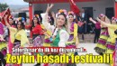 Seferihisar'da zeytin hasadı festivali!