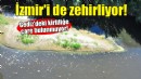 Turgutlu'da oluşan kirlilik İzmir ve Manisa'yı zehirliyor!