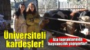 Üniversiteli kardeşler ata topraklarında hayvancılık yapıyor!