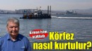 Uzman isim açıkladı... İzmir Körfezi nasıl kurtulacak?