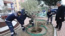 Yunusemre'de yoğun çalışma... Hem doğaya katkı hem estetik görünüm!